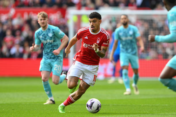 各大豪门在 各大豪门在