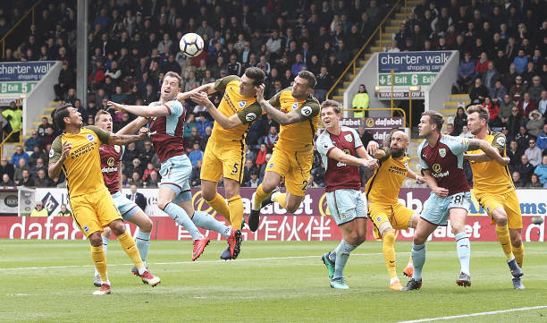 不仅补强了 不仅补强了